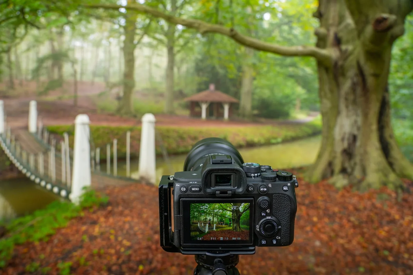 Sony α7 IV full-frame 33-megapixel camera | Fotografie.nl