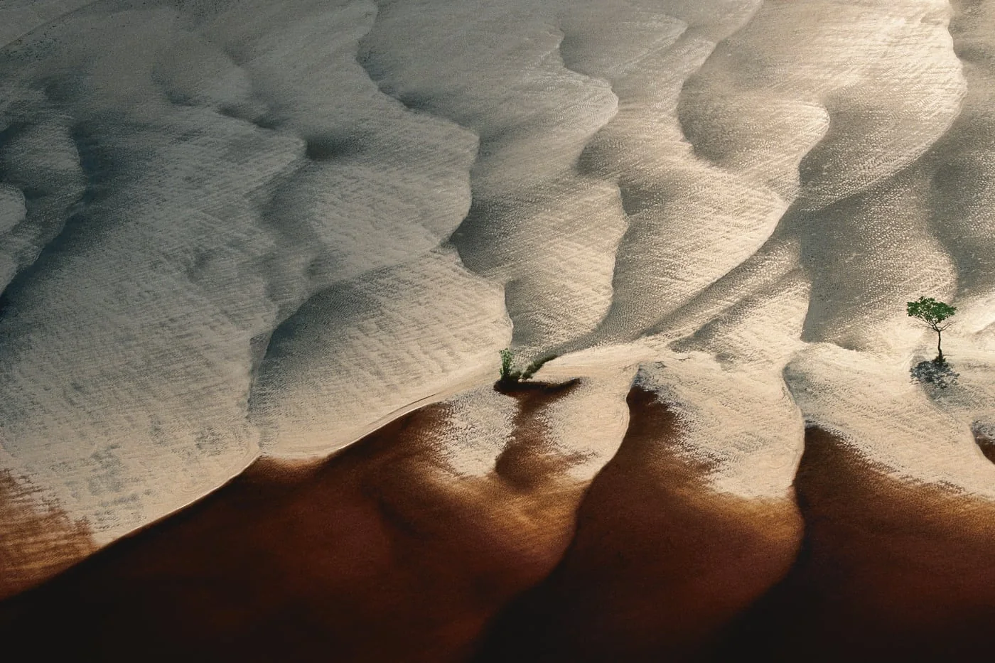De aarde vanuit de hemel - Yann Arthus-Bertrand | Fotografie.nl