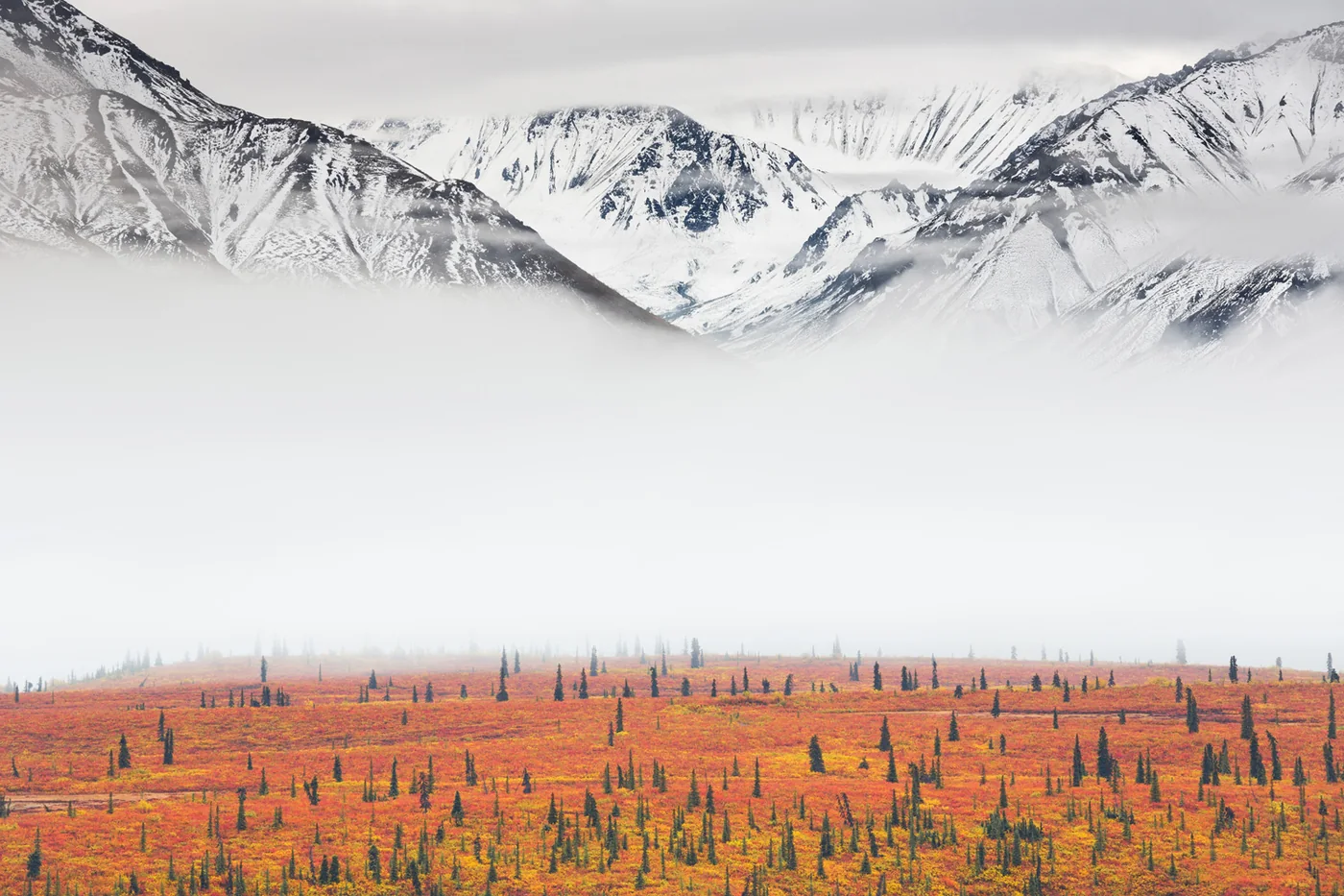 Winnaar Travel Photographer of the Year 2021 | Fotografie.nl