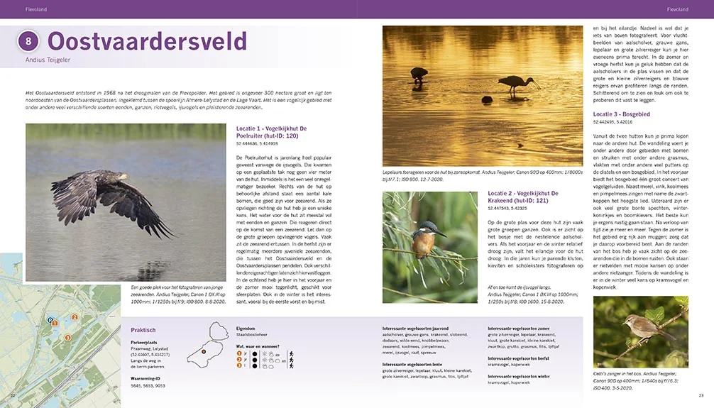 De beste vogelgebieden van Nederland | Fotografie.nl