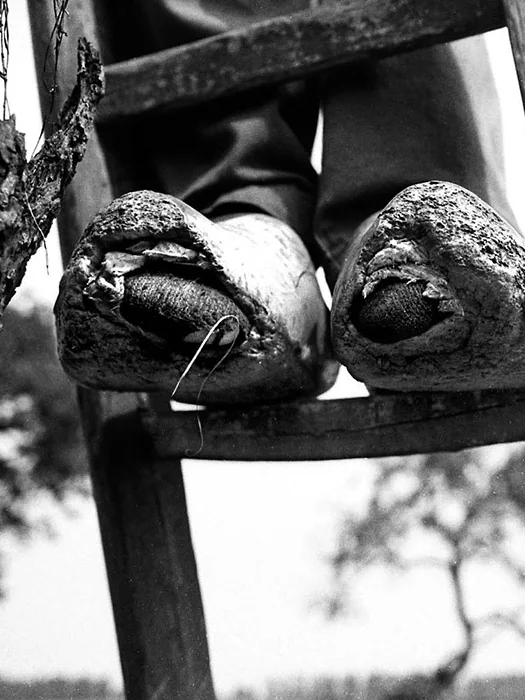 side bar image artikel Fotografie.nl
