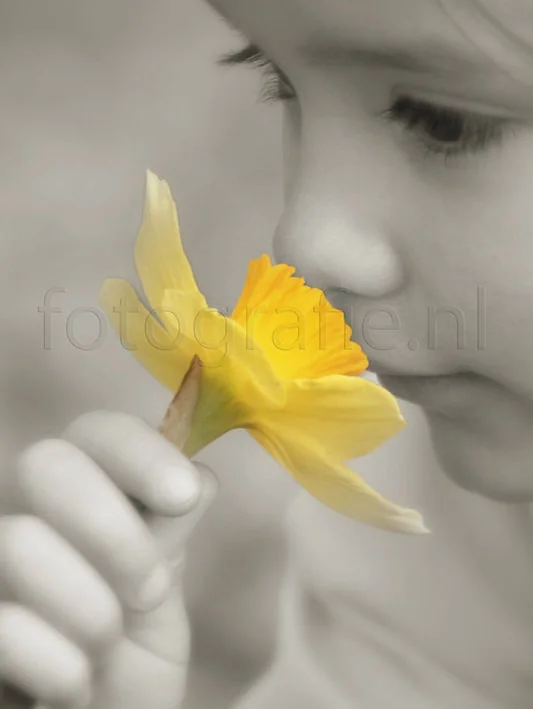 foto van artikel op Fotografie.nl