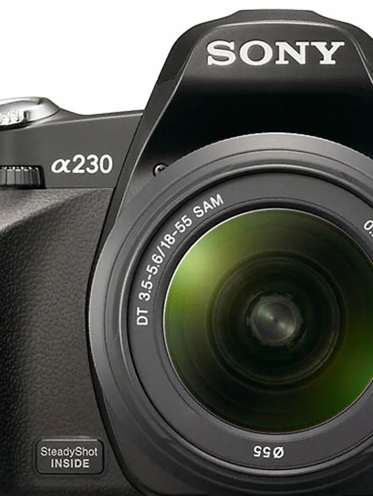 thumbnail image article