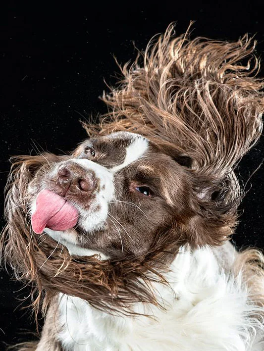 foto van artikel op Fotografie.nl