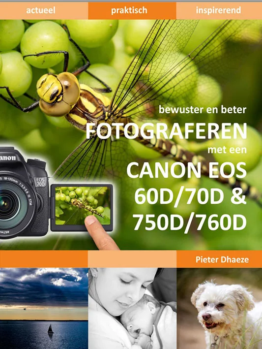 thumbnail image article