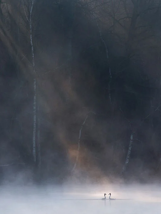foto van artikel op homepage Fotografie.nl