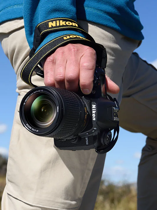 thumbnail image article