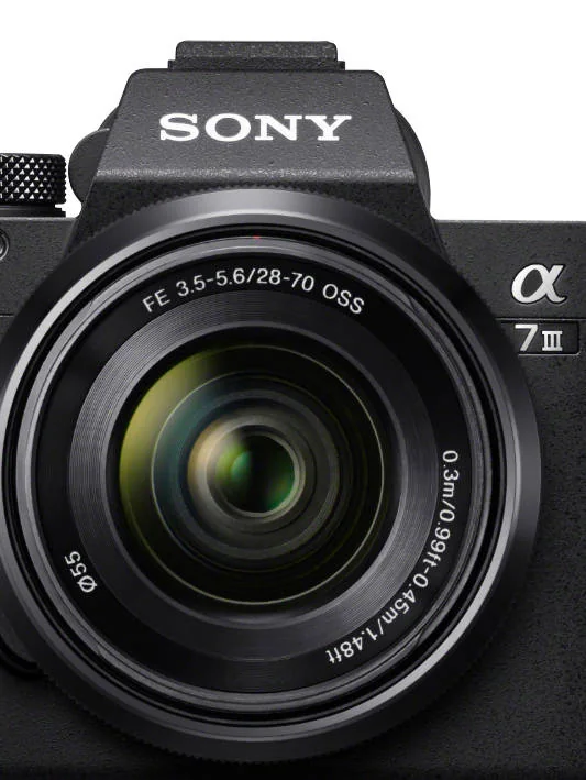 thumbnail image article