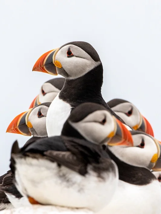 foto van artikel op homepage Fotografie.nl