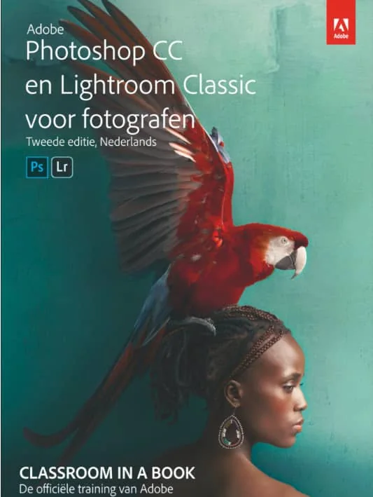 thumbnail image article