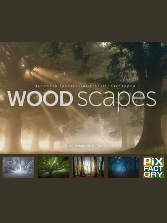 thumbnail image article