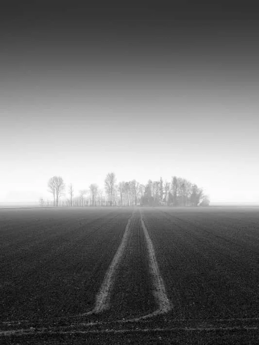 foto van artikel op homepage Fotografie.nl