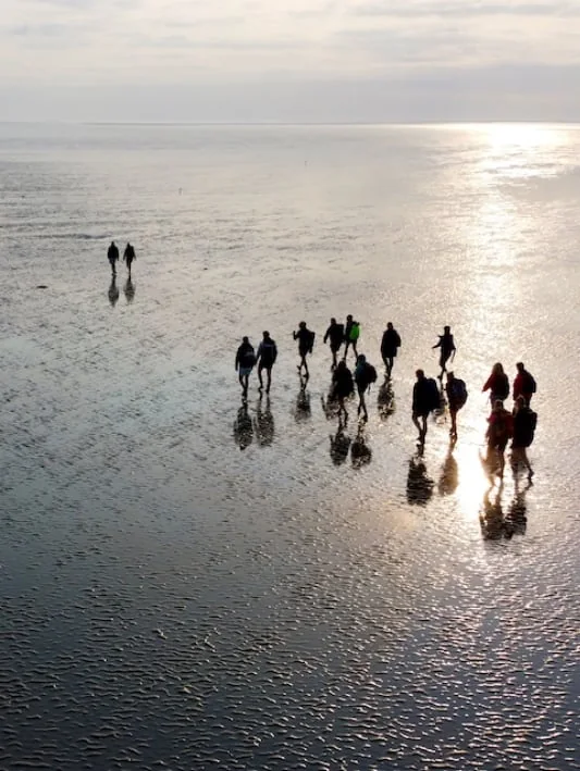 foto van artikel op homepage Fotografie.nl