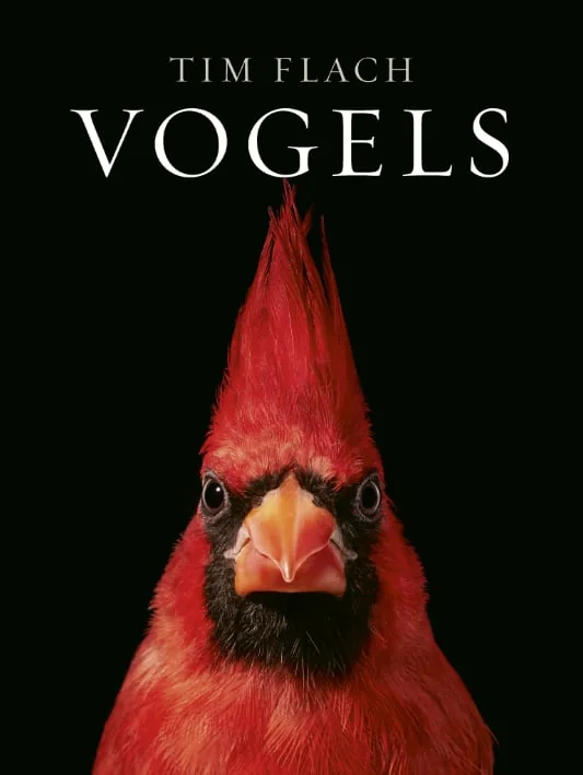 foto van artikel op Fotografie.nl