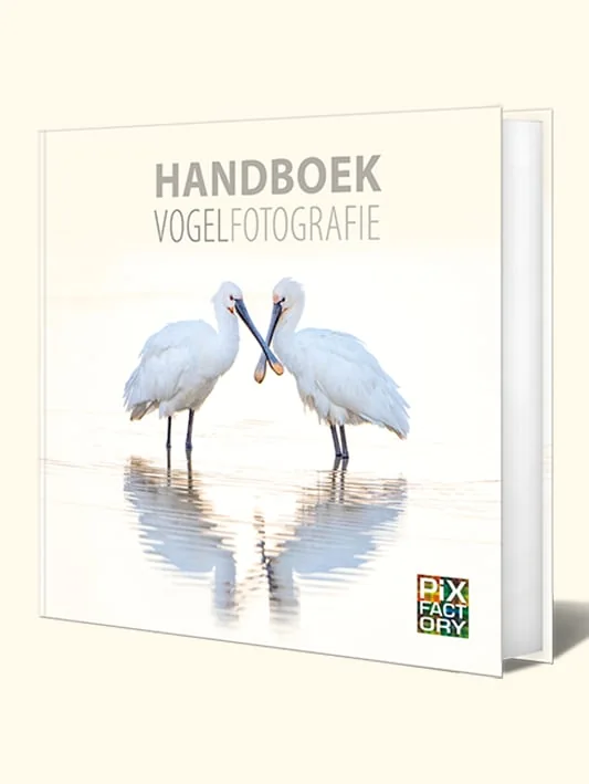 foto van artikel op Fotografie.nl