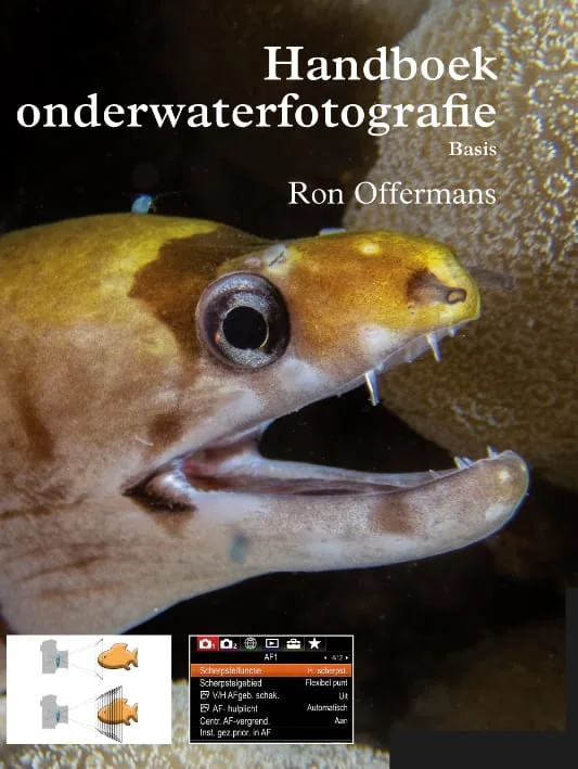 thumbnail image article