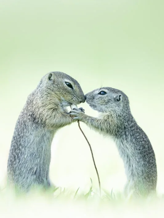 foto van artikel op Fotografie.nl