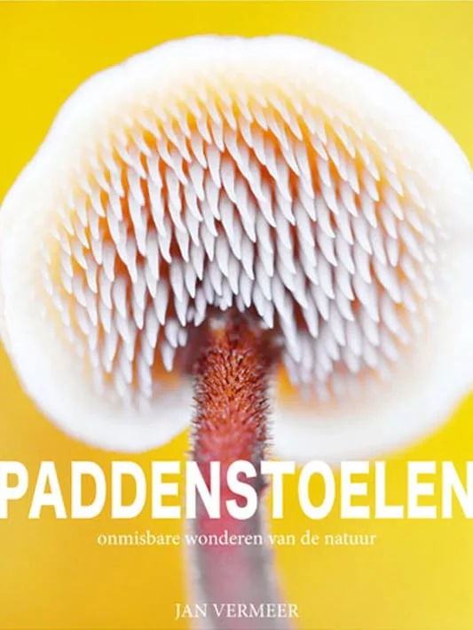 foto van artikel op Fotografie.nl