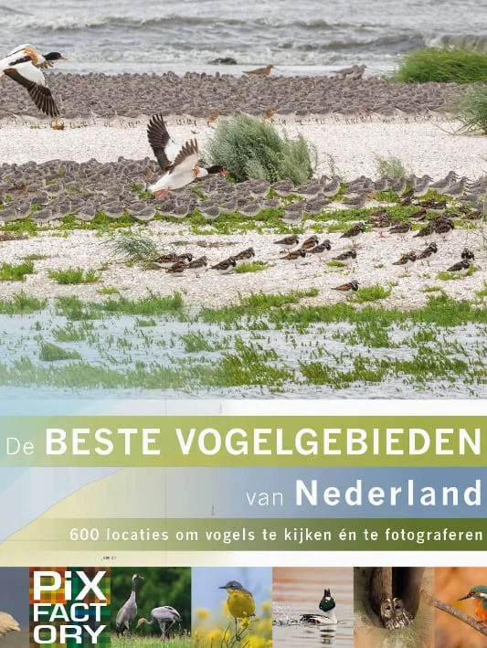 foto van artikel op Fotografie.nl
