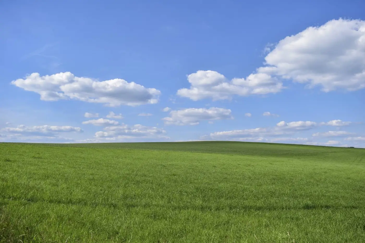 Grasveld met blauwe lucht en wolken door Michael Gaida