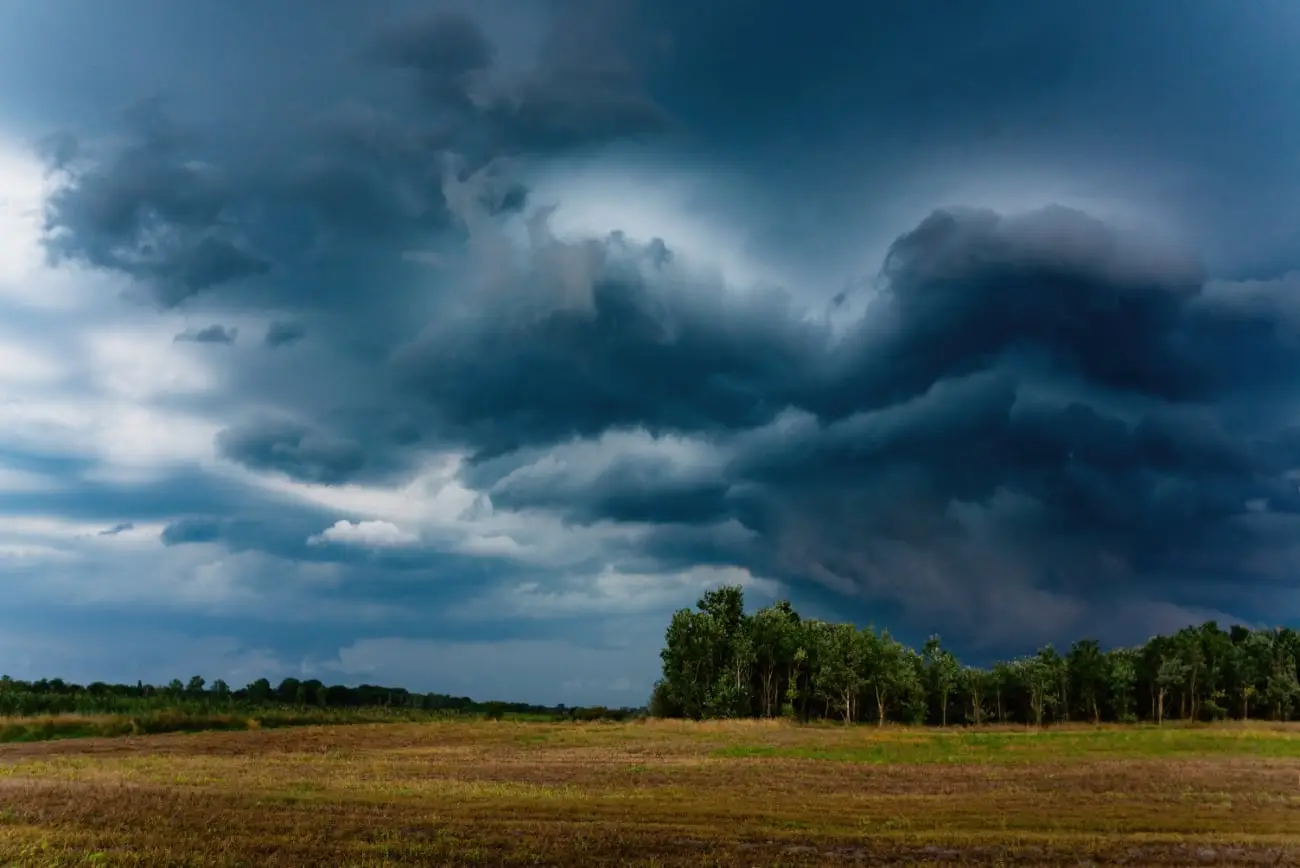 Donkere stormwolken hangen boven een open veld met bomen aan de horizon.
