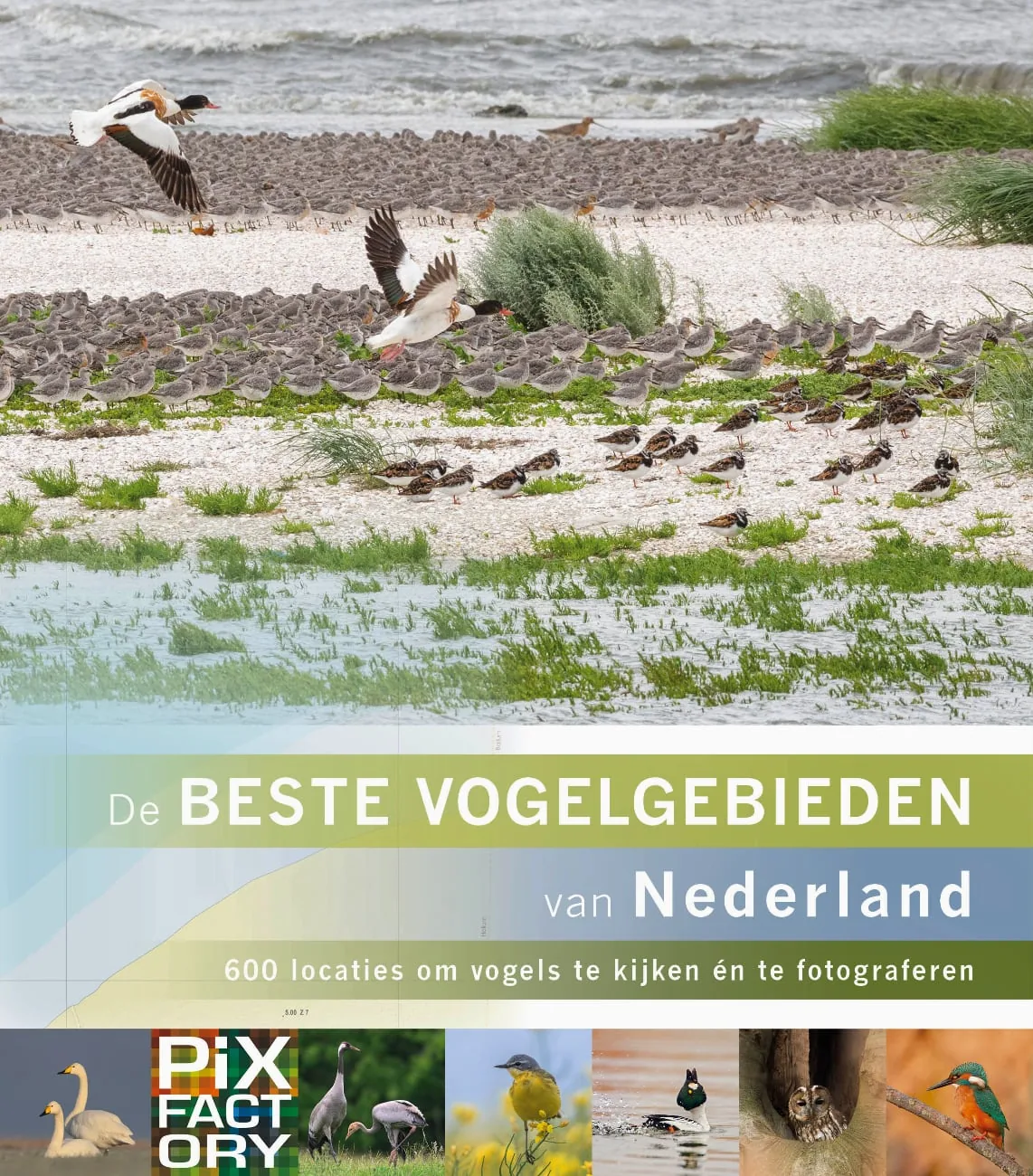 DeBesteBirdlocations fotografi