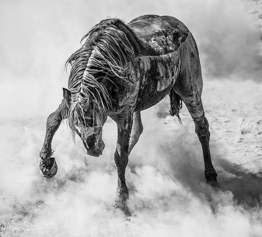 Anger Management by Scott Wilson, winner of Open Photographer of the Year 2022