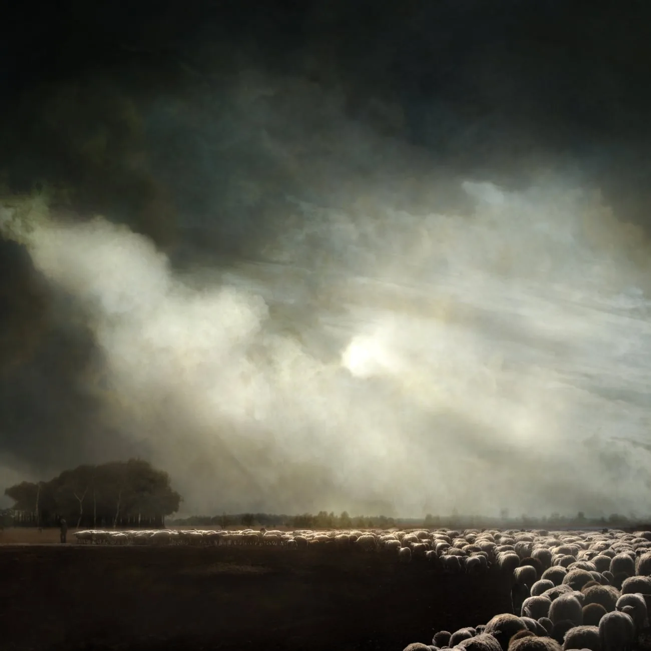 Landscape #144