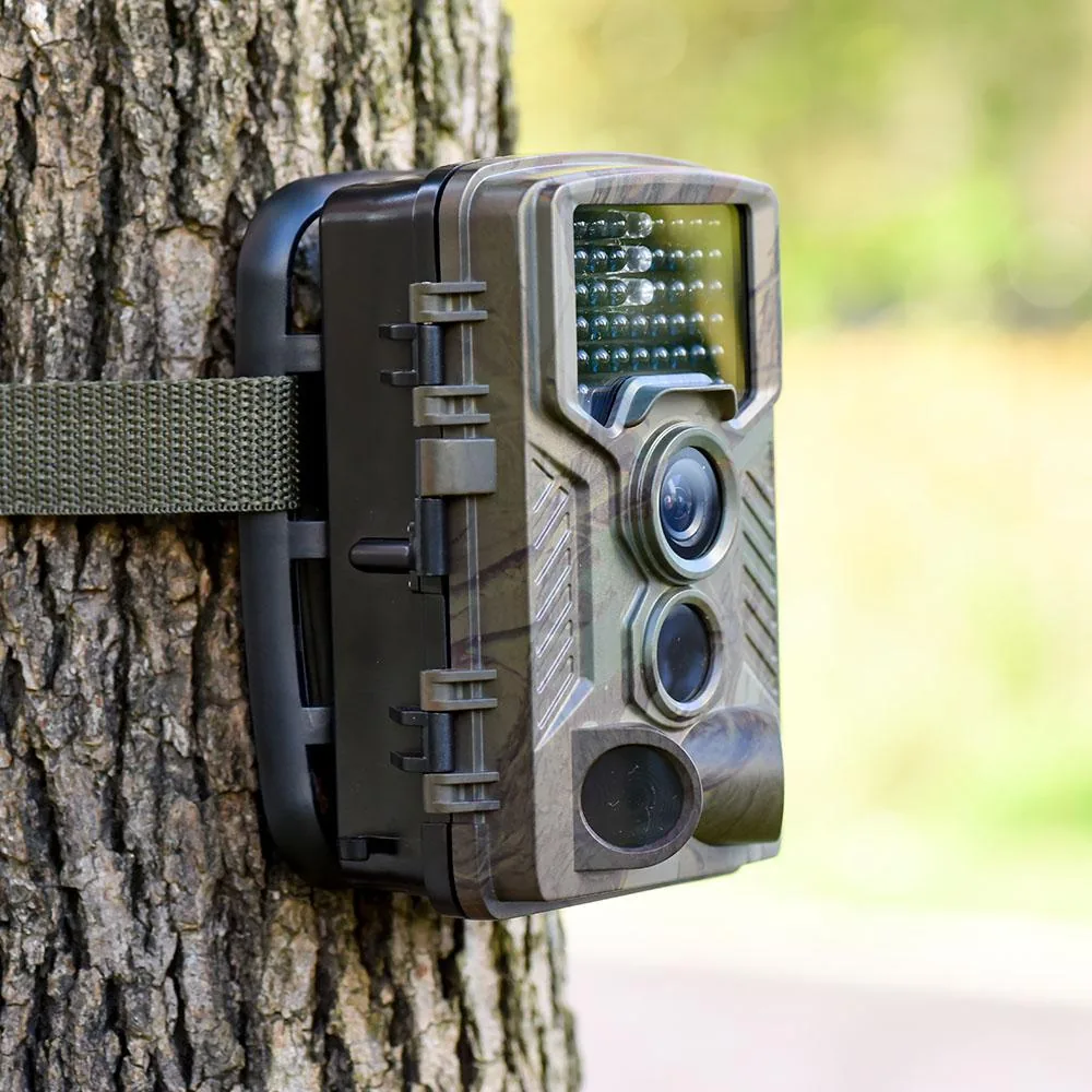 Wildlife camera with infrared LEDs and motion sensor attached to a tree