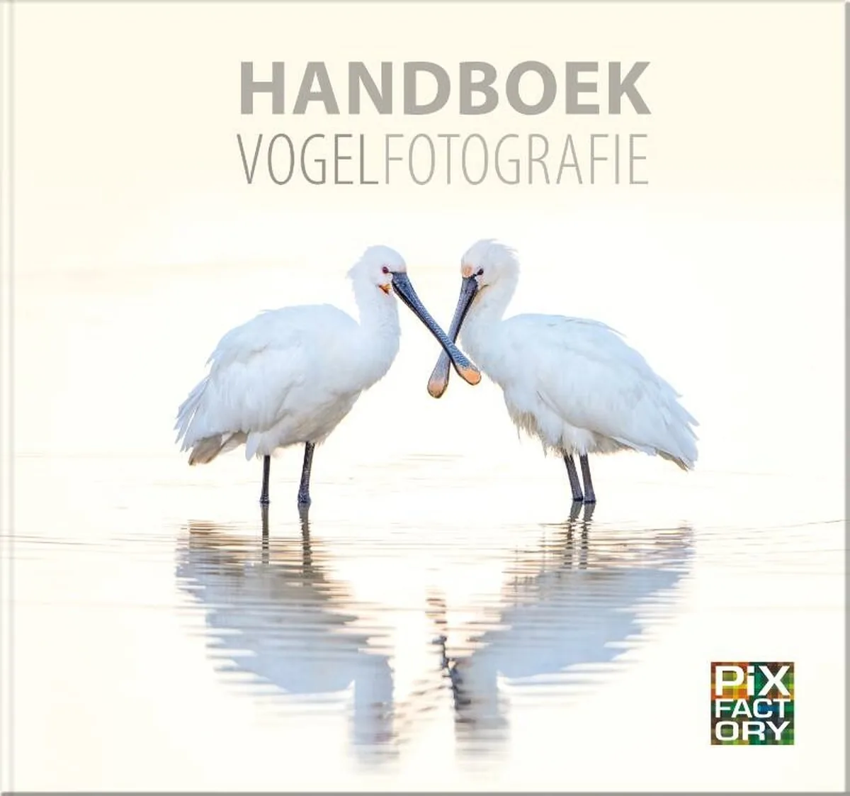 Handboek Vogelfotografie – Handboeken Natuurfotografie 1 by Daan Schoonhoven