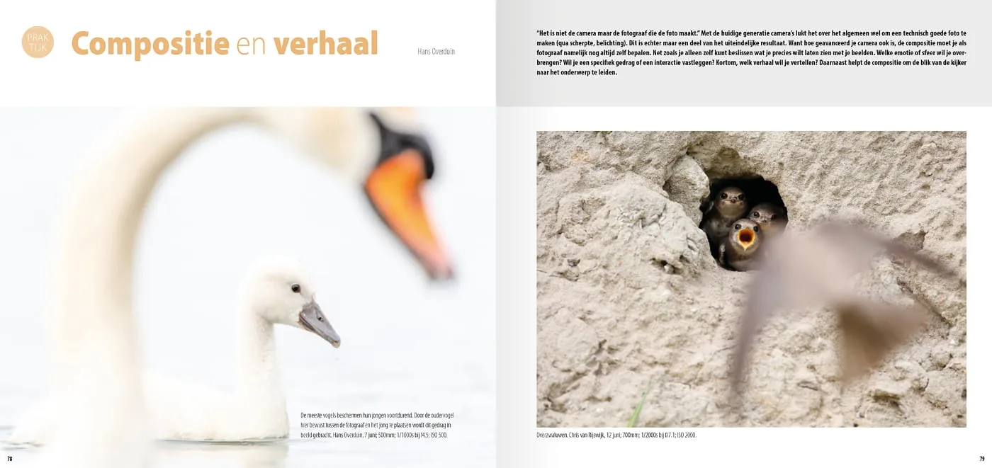 Bird photography handbook inside