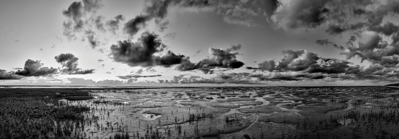 Zwart-witpanorama van wadplaten onder een wolkenlucht door Siebe Swart