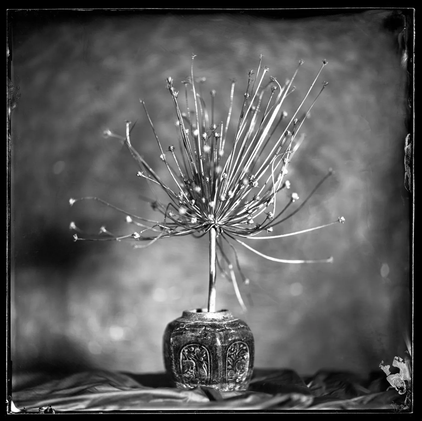 © Still Live with Ginger Jar - Peter Eleveld, Netherlands, Finalist, Professional, Still Life, 2021 Sony World Photography Awards