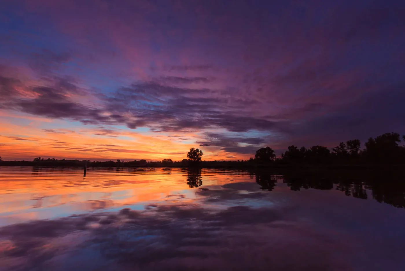 foto: © Bas Breetveld - Biesbosch