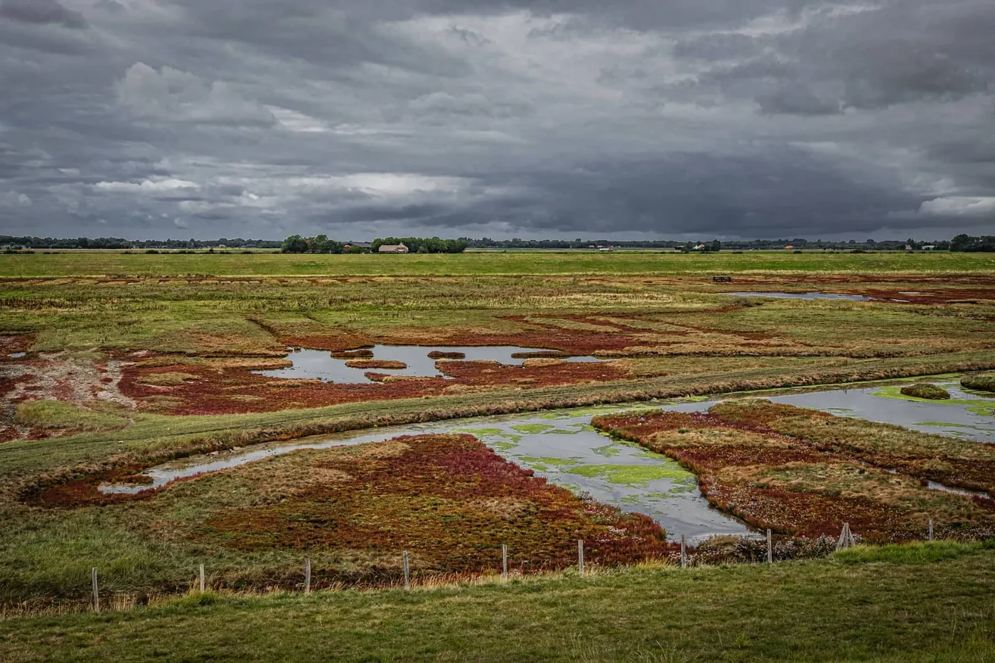schelpenhoeck zeeland nederland