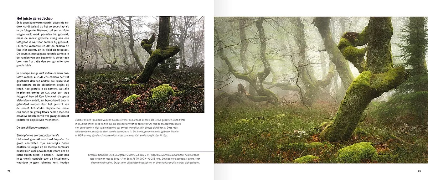 Handboek spectaculaire bosfotografie - Woodscapes, bladzijde uit binnenwerk
