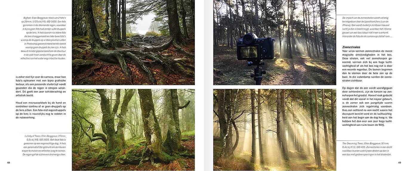 Handboek spectaculaire bosfotografie - Woodscapes, bladzijde uit binnenwerk