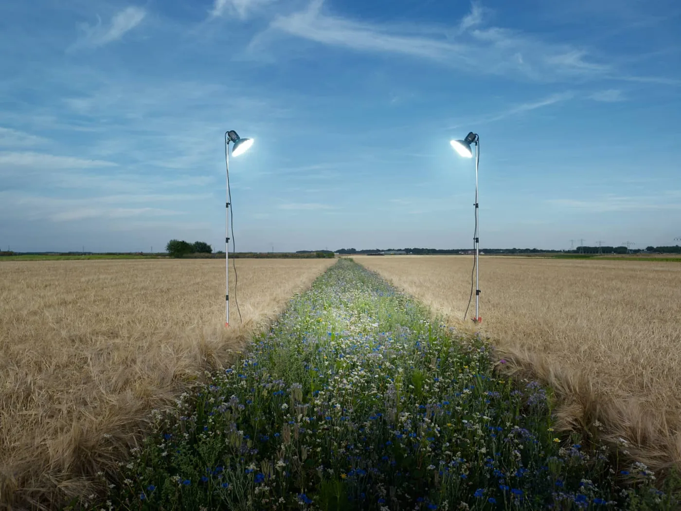 © eddo hartmann, Netherlands, Shortlist, Professional competition, Environment , 2020 Sony World Photography Awards