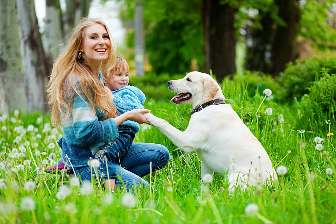 woman with a child on her lap shaking paws with a white dog in a forest