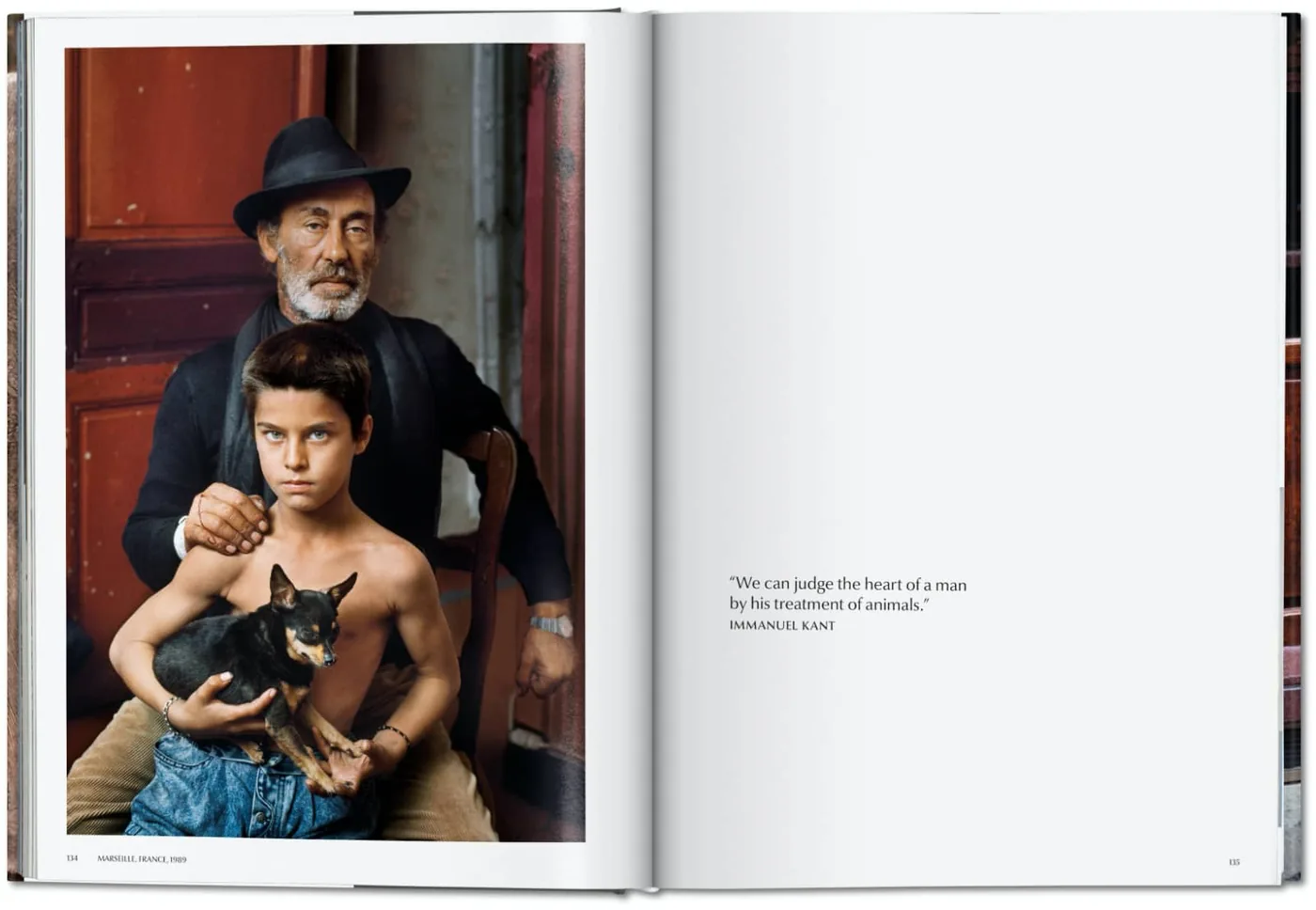 foto: © Steve McCurry - Animals