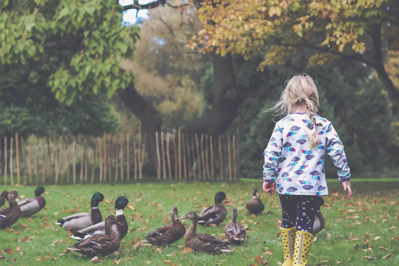 Klein meisje in tuin met eendjes door Hannah Harding