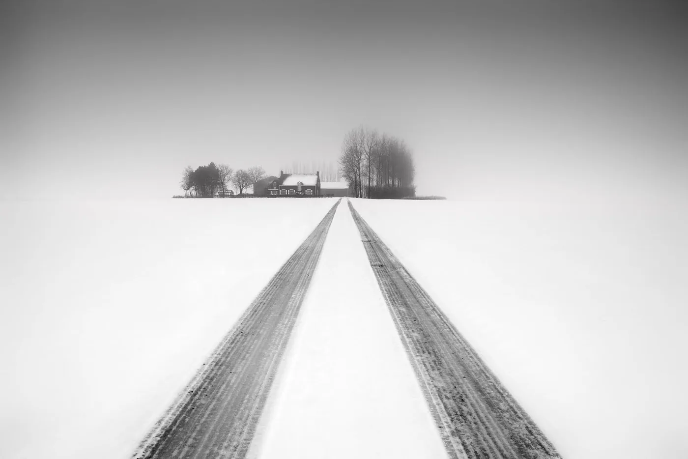 Photo: © Frank Peters - Zeelandic Flanders
