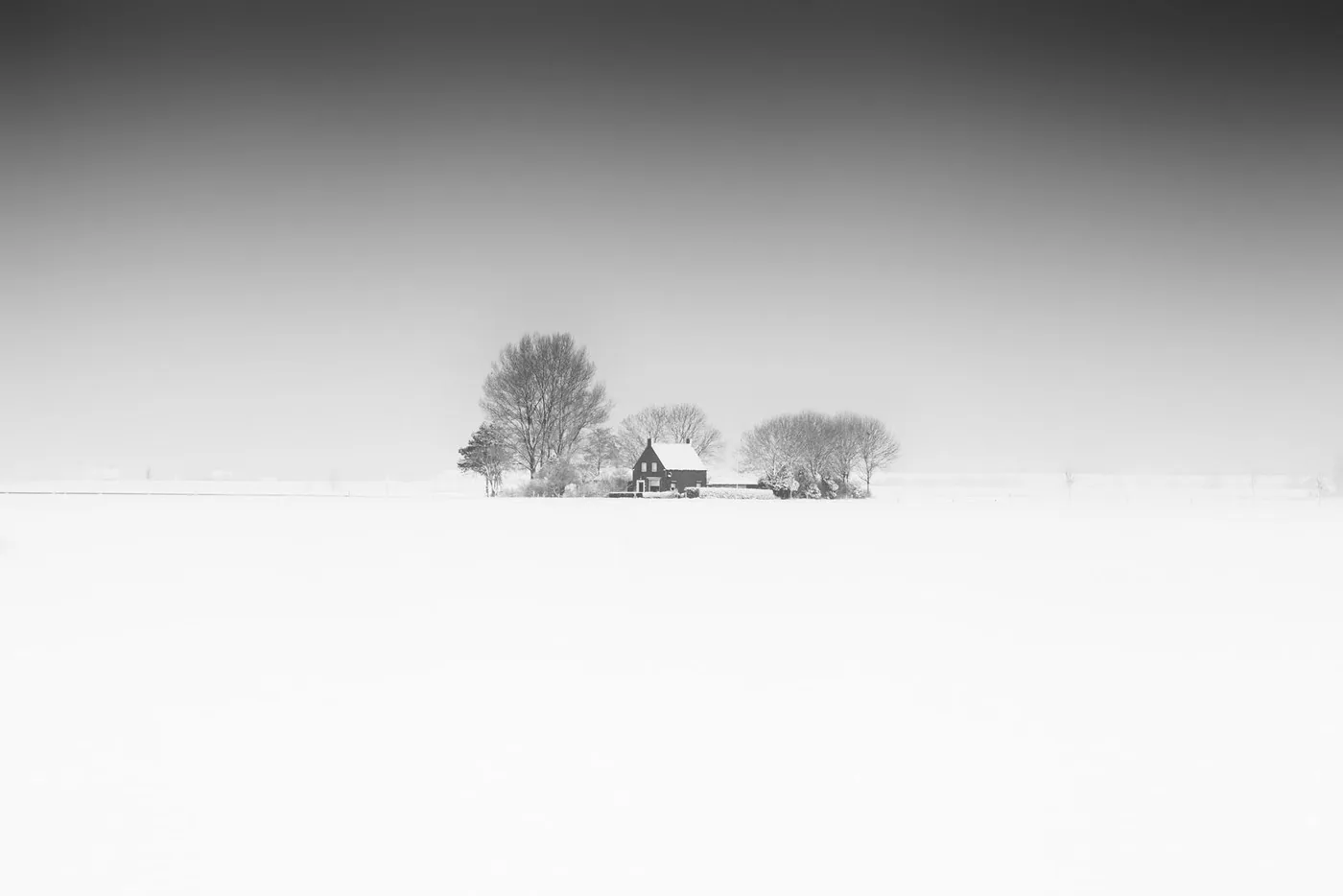 Photo: © Frank Peters - Zeelandic Flanders