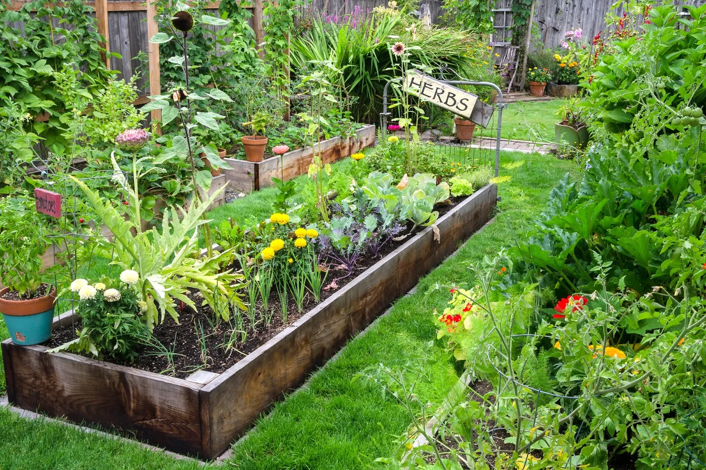 A garden with a vegetable plot