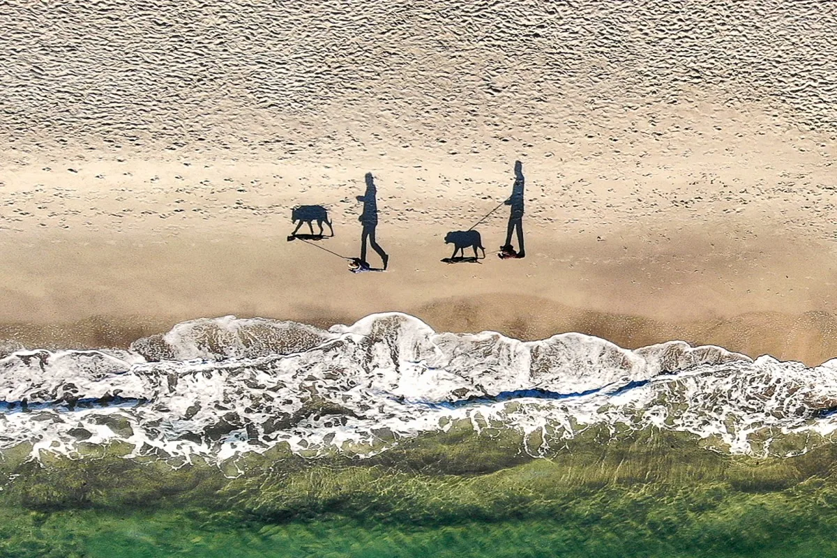 Two people and two dogs casting long shadows on a beach along the Black Sea.