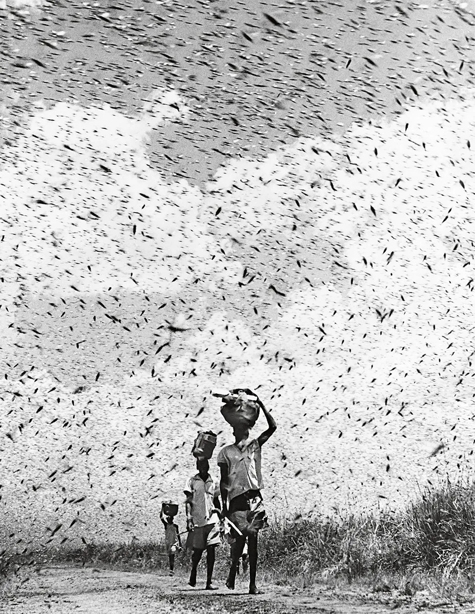 © National Geographic Society Image Collection and Archives - Gervas Huxley, Kenya, 1940s