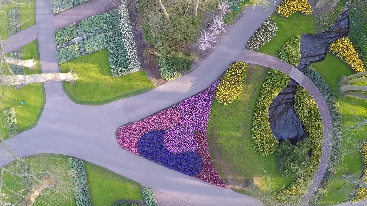 dronefoto van keukenhof