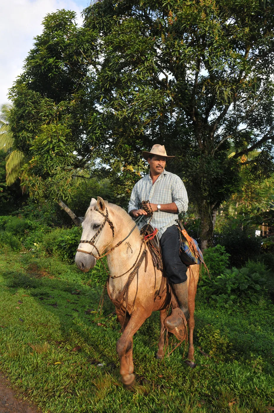 foto van een man met snor op een paard met een cowboyhoed op met een boom op achtergrond