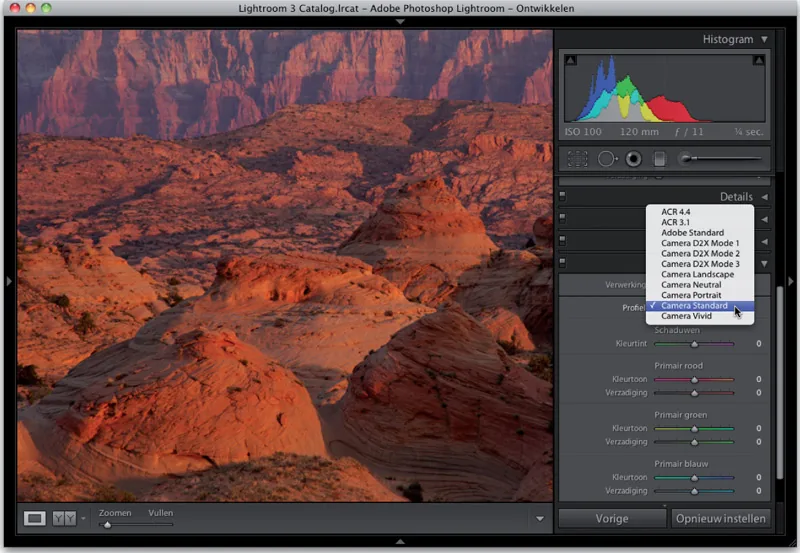 Profile settings for RAW photos in Lightroom