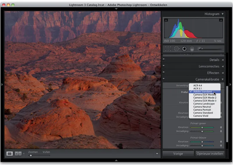 Lightroom example for a RAW display that looks like JPEG